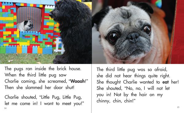 Little pug store