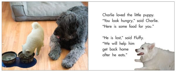 Charlie little dog food clearance