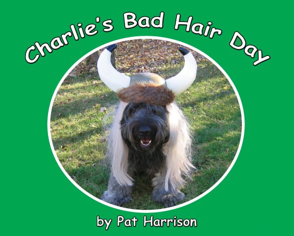 Charlie's Bad Hair Day - Level D/6