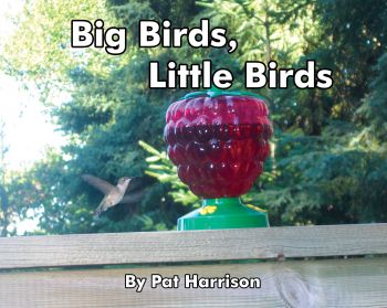 Big Birds, Little Birds - Level A/1