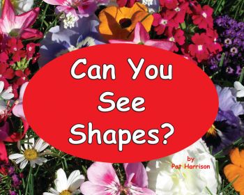 Can You See Shapes? - Level A/1