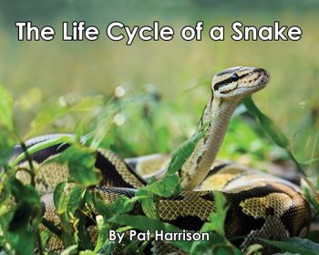 The Life Cycle of a Snake - Level H/13