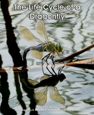 Life Cycle of a Dragonfly - Level I/16