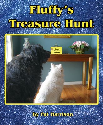 Fluffy's Treasure Hunt
