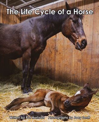 The Life Cycle of a Horse - Level K/19