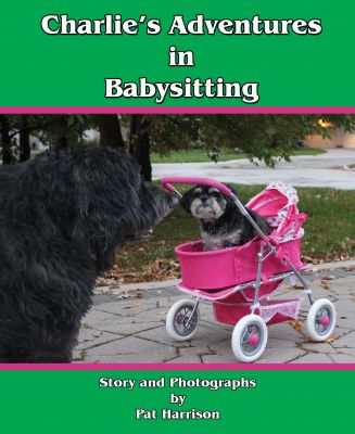 Charlie's Adventures in Babysitting