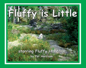 Fluffy is Little - Level B/2