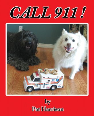 Call 911! - Level L/20
