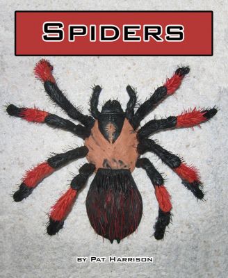 Spiders - Level L/20