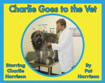 Charlie Goes to the Vet