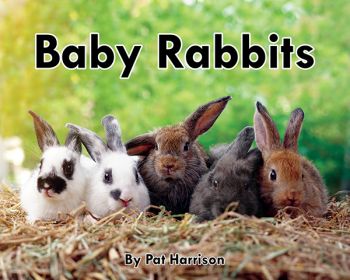 Baby Rabbits - Level D/6