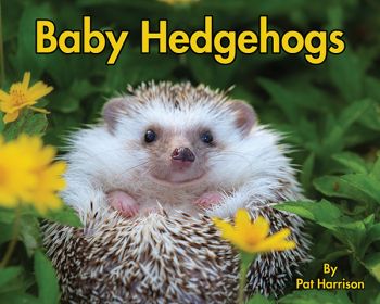 Baby Hedgehogs - Level D/6