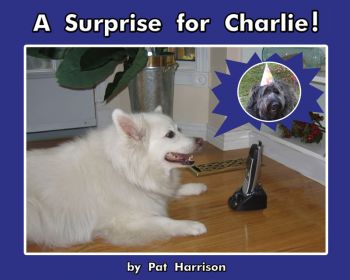 A Surprise for Charlie!