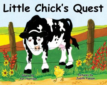 Little Chick's Quest