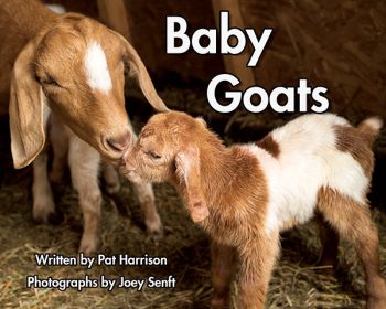 Baby Goats - Level F/9