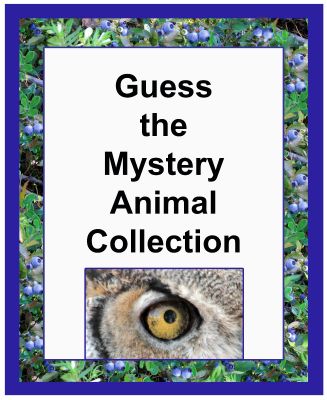 Guess the Mystery Animal Collection