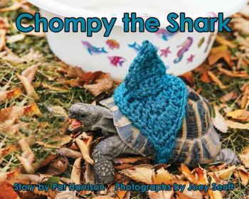 Chompy the Shark - Level E/8