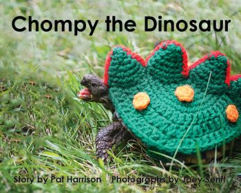 Chompy the Dinosaur - Level G/11
