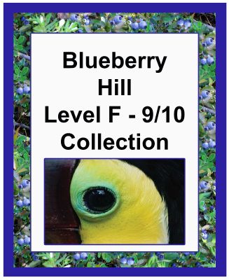 Blueberry Hill Level F/9&10 Collection