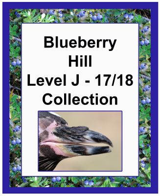 Blueberry Hill Level J/17&18 Collection