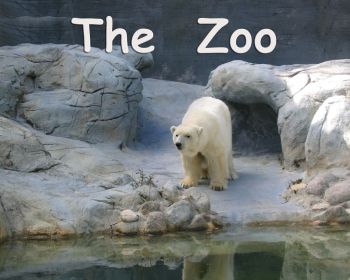 The Zoo - Level B/2