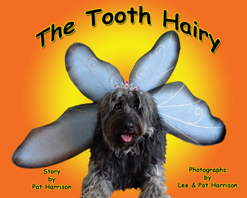 The Tooth Hairy - Level H/13