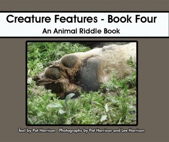 Creature Features - Book Four - Level D/6
